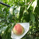 선아농장 이미지