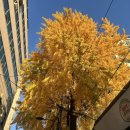 구반포역 3번출구 | 방배동 고기집 1991혜성집 가성비 한우꽃등심 서초한우 방배카페골목