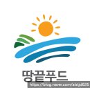 수정돌김구이 네이버블로그