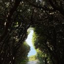 남원읍 공천포식당 동쪽 이미지