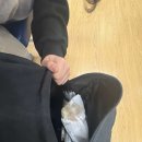 다연이네 | 시험 ㅈ됨