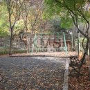 소월공인중개사사무소 이미지