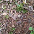 이병용 농장 이미지