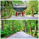 전북 고군산군도 / 변산반도 ('25.5.29~30) - 4 이미지