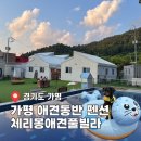 체리몽애견풀빌라 이미지