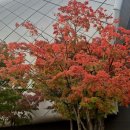 연극마을문화공동체협동조합 | 2025인천시 마을공동체 만들기 주민이 만드는 변화 성과공유회