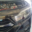 콩이카센타 이미지