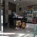 백마동물병원 | 일산 백마 동물 병원 - 고양이 방광염 치료