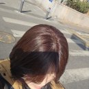 살롱에이 고덕점