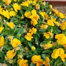 계양경기장 이미지