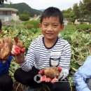 청보초등학교 이미지