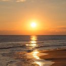 아름다움 이미지