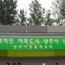 2010 생활대축전 - 평택대회 참가 선수단 이미지