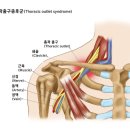 든든 한의원 이미지