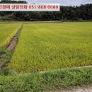 기리경로당 이미지