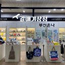 부산갈매기주