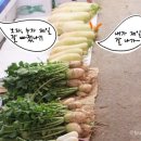 군북시장 이미지