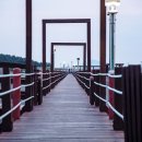 신안맛집 이미지