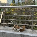 대학원일지 | 한양대보건대학원 바쁘다바빠현대사회