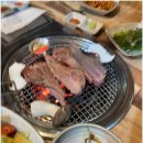 윤)요기가고기가윤