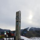 웰리힐리파크 스노우보드타는 꽃보더 주말에 다녀왔어요