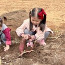 샘물농장 2 이미지