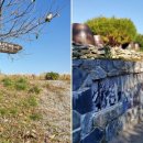 하당1리 이미지