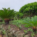 구름밭하우스 이미지