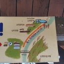 순천만국가정원 스페이스브릿지 스카이큐브 갈대열차 순천만습지