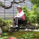 시목원 이미지