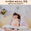 데이라 | 아기침대 매트리스 추천 토들즈 버디 하우스 데이베드 후기