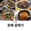 돗배갈매기