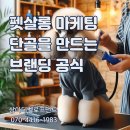 비주얼펫살롱 | 펫살롱 마케팅 단골을 만드는 브랜딩 공식