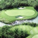 엑스-매니아 이미지