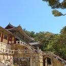 경주 불국사 천마총 첨성대 박물관 역사여행 _ 9.12(토) 이미지