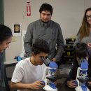 BUSINESS NETWORK CLUB 이미지