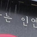 緣초밥