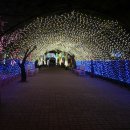 수성랜드 이미지