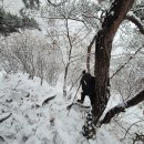 금학산 | 겨울 눈꽃 백패킹, 철원 금학산 등산 제대로 힐링하고 왔어요