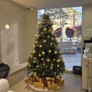 골드정형외과의원 이미지