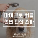 바둑아 사랑해 이미지
