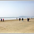 천리포항 이미지