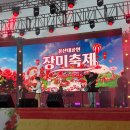 아원기획 | 2026 울산대공원 장미축제 실시간 개화 상황! 가수 공연 라인업, 주차 꿀팁까지 총정리