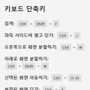 노벨라 별둘 티스토리
