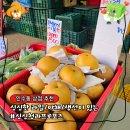 프로포즈과일야채생선