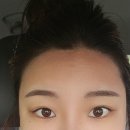 더숲smp