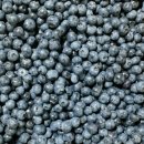 블루베리펜션 이미지