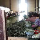 가나기업주식회사 이미지