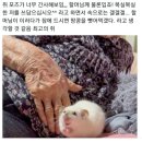 잎새달닷새