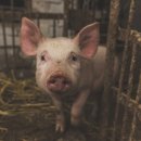 소중한한의원 이미지